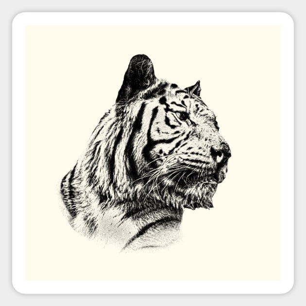 Tiger Sticker by Guardi